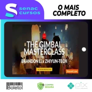 The Gimbal Masterclass - Brandon Li [INGLÊS]