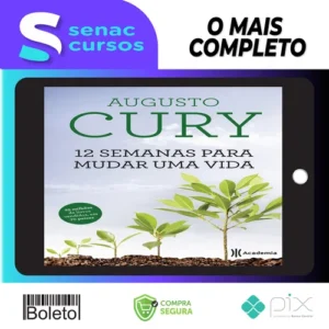 12 Semanas para Mudar uma Vida - Augusto Cury