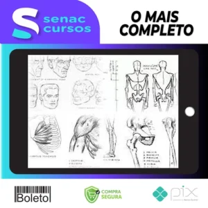 Livros de Desenho - Andrew Loomis