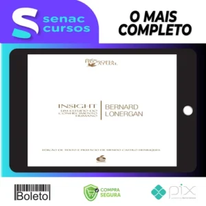 Insight: Um Estudo do Conhecimento Humano - Bernard Lonergan