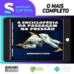 Enciclopédia da Passagem na Pressão - Bernardo Faria