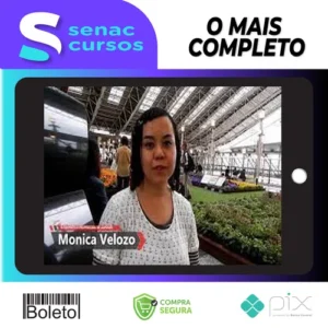 Japonês Básico: Escreva em Japonês - Monica Velozo