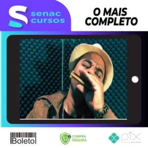 Aprenda Gaita Blues - Max William Pianura Miguel