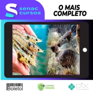 Criação de Camarão Marinho e Tilápias em Bioflocos: Longe do Mar em Tanques de Geomembrana e Ferrocimento - My Fish World
