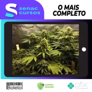 Cultivo Indoor de Plantas Medicinais - Jean Silva